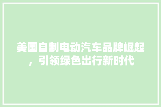 美国自制电动汽车品牌崛起，引领绿色出行新时代