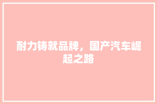 耐力铸就品牌，国产汽车崛起之路