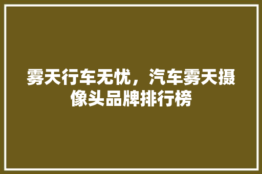 雾天行车无忧，汽车雾天摄像头品牌排行榜