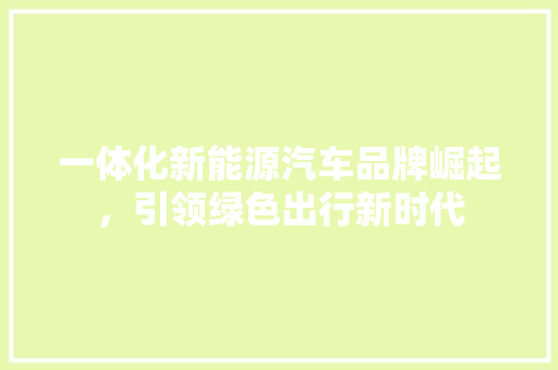 一体化新能源汽车品牌崛起，引领绿色出行新时代