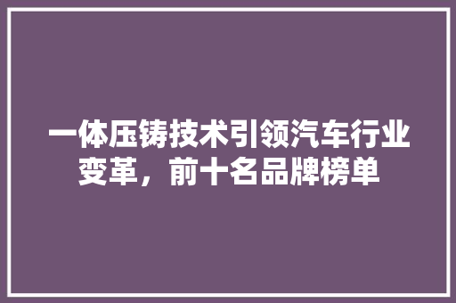 一体压铸技术引领汽车行业变革，前十名品牌榜单
