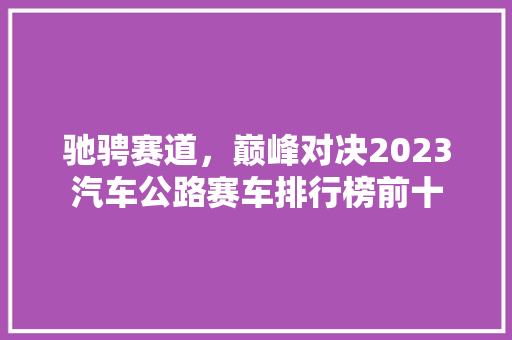 驰骋赛道，巅峰对决2023汽车公路赛车排行榜前十