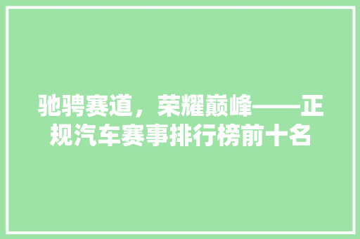 驰骋赛道，荣耀巅峰——正规汽车赛事排行榜前十名