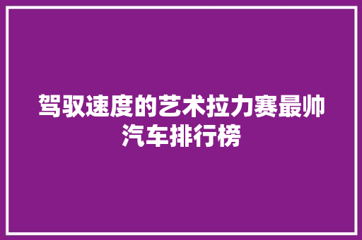 驾驭速度的艺术拉力赛最帅汽车排行榜
