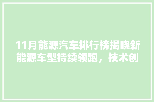 11月能源汽车排行榜揭晓新能源车型持续领跑，技术创新引领行业发展