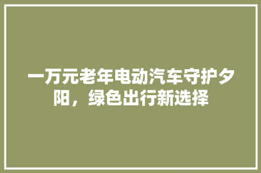 一万元老年电动汽车守护夕阳，绿色出行新选择