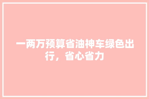 一两万预算省油神车绿色出行，省心省力
