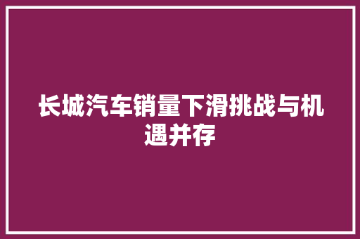 长城汽车销量下滑挑战与机遇并存