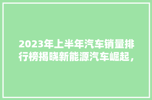 2023年上半年汽车销量排行榜揭晓新能源汽车崛起，传统车企面临挑战