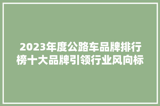 2023年度公路车品牌排行榜十大品牌引领行业风向标