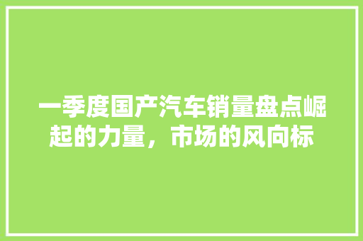 一季度国产汽车销量盘点崛起的力量，市场的风向标