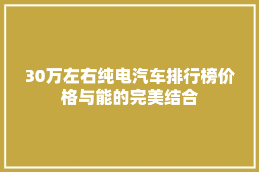 30万左右纯电汽车排行榜价格与能的完美结合