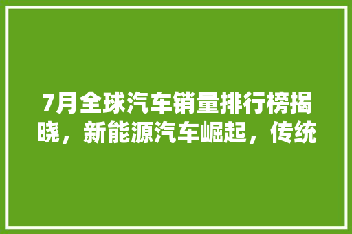 7月全球汽车销量排行榜揭晓，新能源汽车崛起，传统车企面临挑战