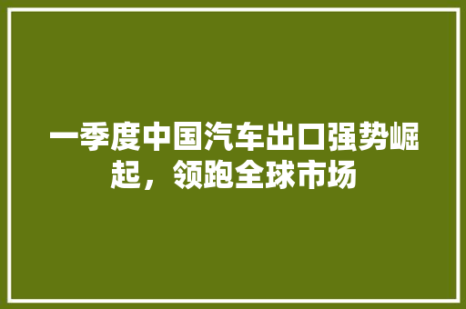 一季度中国汽车出口强势崛起，领跑全球市场
