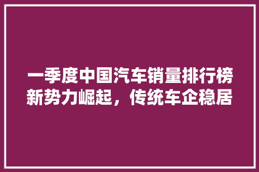 一季度中国汽车销量排行榜新势力崛起，传统车企稳居前列