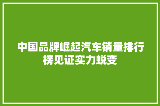 中国品牌崛起汽车销量排行榜见证实力蜕变