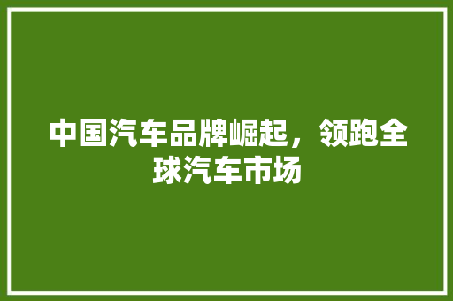 中国汽车品牌崛起，领跑全球汽车市场