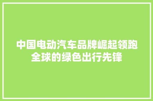 中国电动汽车品牌崛起领跑全球的绿色出行先锋