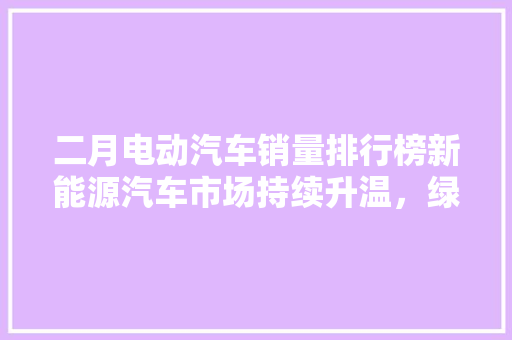 二月电动汽车销量排行榜新能源汽车市场持续升温，绿色出行成为新趋势
