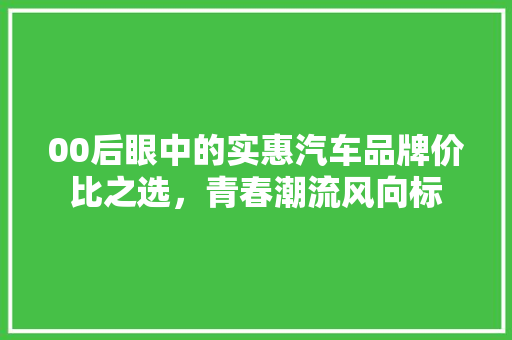 00后眼中的实惠汽车品牌价比之选，青春潮流风向标