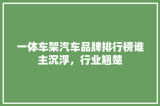 一体车架汽车品牌排行榜谁主沉浮，行业翘楚