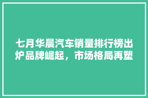七月华晨汽车销量排行榜出炉品牌崛起，市场格局再塑