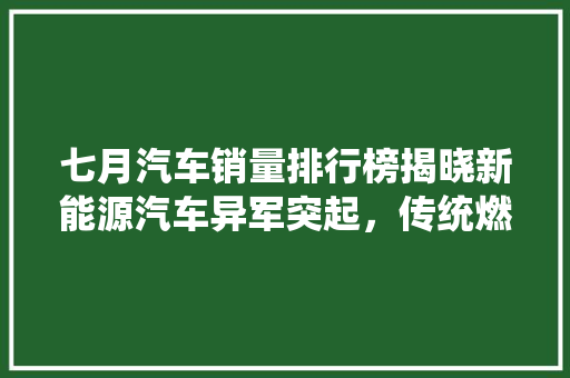 七月汽车销量排行榜揭晓新能源汽车异军突起，传统燃油车面临挑战