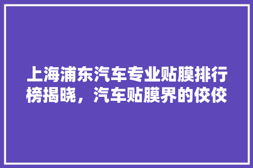 上海浦东汽车专业贴膜排行榜揭晓，汽车贴膜界的佼佼者