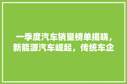 一季度汽车销量榜单揭晓，新能源汽车崛起，传统车企面临挑战