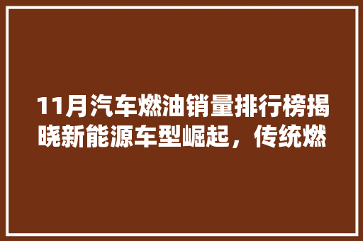 11月汽车燃油销量排行榜揭晓新能源车型崛起，传统燃油车面临挑战