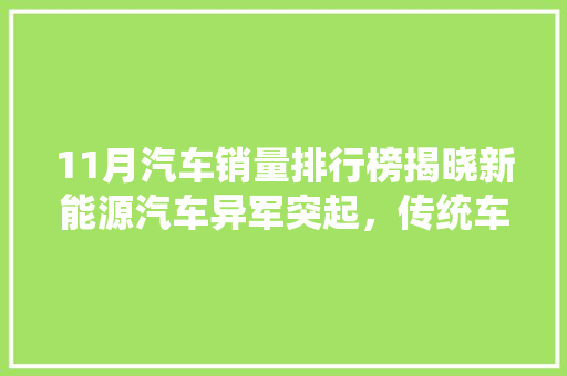 11月汽车销量排行榜揭晓新能源汽车异军突起，传统车企面临挑战