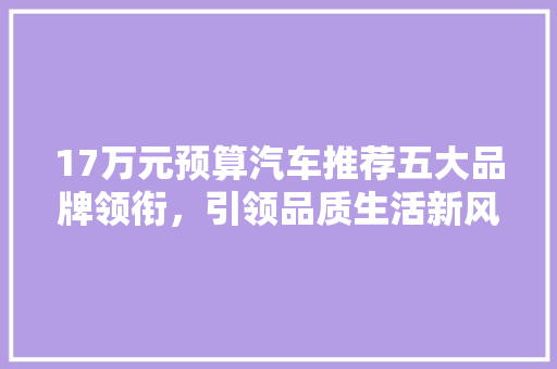 17万元预算汽车推荐五大品牌领衔，引领品质生活新风尚