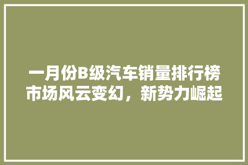 一月份B级汽车销量排行榜市场风云变幻，新势力崛起