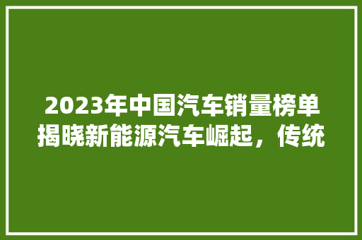 2023年中国汽车销量榜单揭晓新能源汽车崛起，传统车企谋变