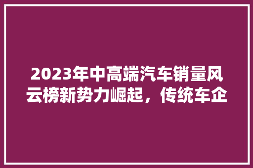 2023年中高端汽车销量风云榜新势力崛起，传统车企转型