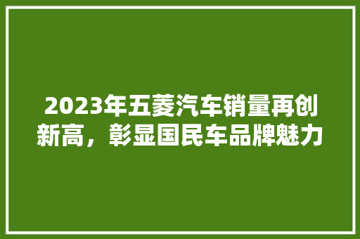 2023年五菱汽车销量再创新高，彰显国民车品牌魅力