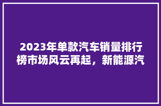 2023年单款汽车销量排行榜市场风云再起，新能源汽车独领风骚