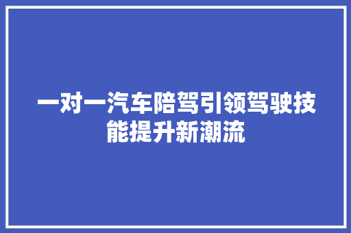 一对一汽车陪驾引领驾驶技能提升新潮流