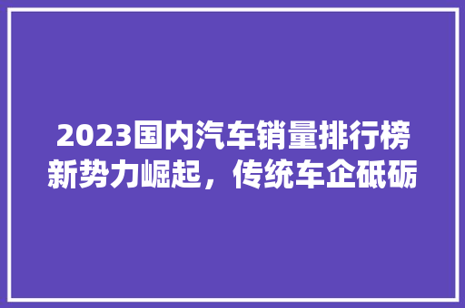 2023国内汽车销量排行榜新势力崛起，传统车企砥砺前行