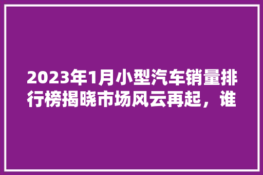 2023年1月小型汽车销量排行榜揭晓市场风云再起，谁将引领潮流