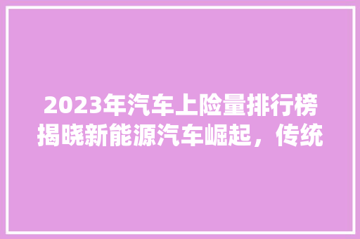2023年汽车上险量排行榜揭晓新能源汽车崛起，传统车型面临挑战