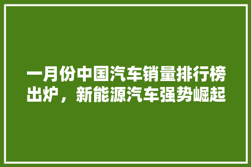 一月份中国汽车销量排行榜出炉，新能源汽车强势崛起