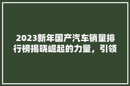 2023新年国产汽车销量排行榜揭晓崛起的力量，引领行业新风向