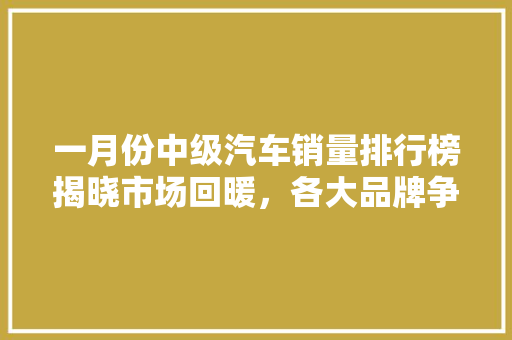 一月份中级汽车销量排行榜揭晓市场回暖，各大品牌争相角逐