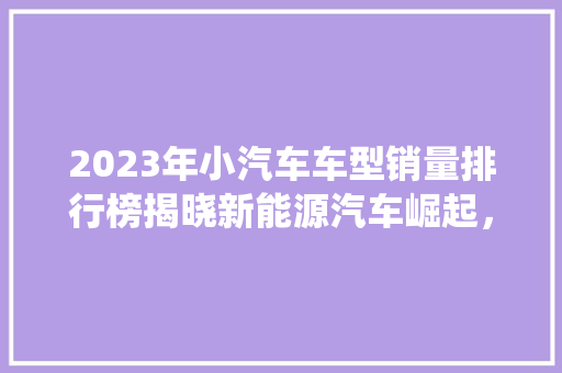 2023年小汽车车型销量排行榜揭晓新能源汽车崛起，传统燃油车面临挑战