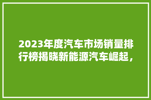 2023年度汽车市场销量排行榜揭晓新能源汽车崛起，传统车企面临挑战