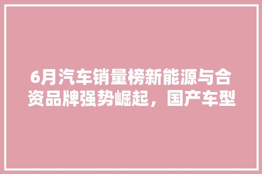 6月汽车销量榜新能源与合资品牌强势崛起，国产车型持续发力