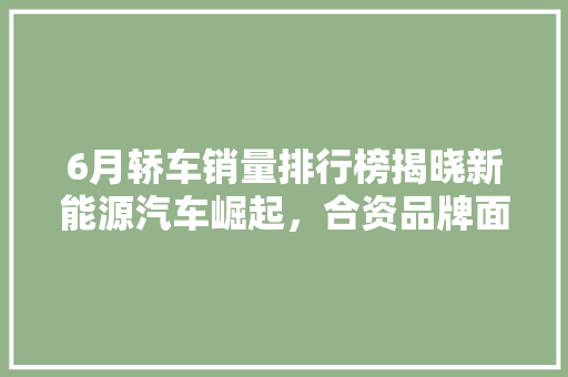 6月轿车销量排行榜揭晓新能源汽车崛起，合资品牌面临挑战
