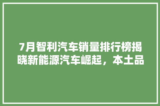 7月智利汽车销量排行榜揭晓新能源汽车崛起，本土品牌表现亮眼