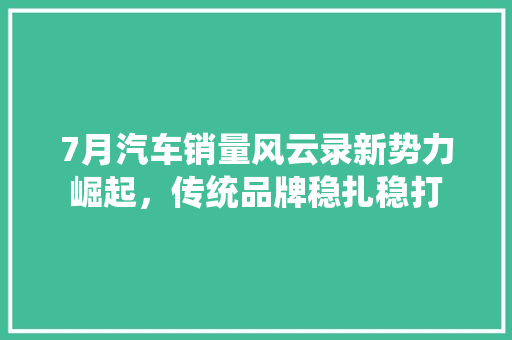 7月汽车销量风云录新势力崛起，传统品牌稳扎稳打